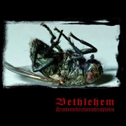 Buy Hexakosioihexekontahexaphobia