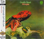 Buy Octopus