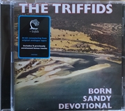 Buy Born Sandy Devotional