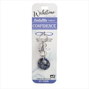 Buy Sodalite Key Charm