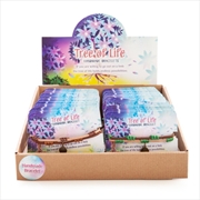 Buy Tree Of Life Leather Bracelet (SENT AT RANDOM)