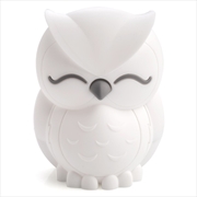 Lil Dreamers Owl Soft Touch LED Light | Accessories