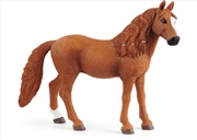 Buy Schleich - German Riding Pony Mare