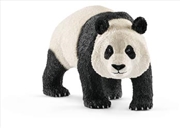 Buy Schleich - Giant Panda Male