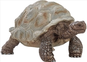 Buy Schleich - Giant tortoise