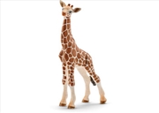 Buy Schleich - Giraffe Calf
