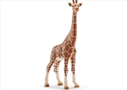 Buy Schleich - Giraffe Female