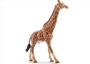 Buy Schleich - Giraffe Male