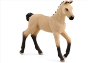 Buy Schleich - Hannoverian Foal, Red Dun
