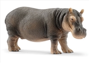 Buy Schleich - Hippopotamus