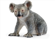 Buy Schleich - Koala Bear