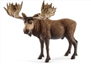 Buy Schleich - Moose Bull