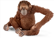 Buy Schleich - Orangutan Female