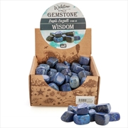 Buy Gemstone Tumbled Lapis Lazuli (SENT AT RANDOM)