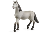 Buy Schleich - Pura Raza Espanola Young Horse
