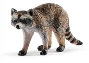 Buy Schleich-Raccoon