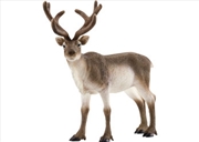 Buy Schleich - Reindeer