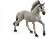 Buy Schleich - Sorraia Mustang Stallion