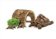 Buy Schleich - Tortoise home