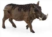 Buy Schleich - Warthog