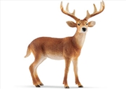 Buy Schleich-White-tailed buck