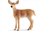 Buy Schleich-White-tailed doe