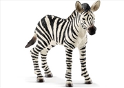 Buy Schleich - Zebra Foal