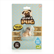 Buy Grow A Pug