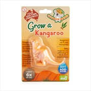 Buy Grow Kangaroo