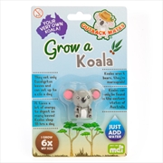 Buy Grow A Koala