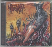 Buy Archidoxes Of Evil