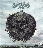 Buy Back To The Front