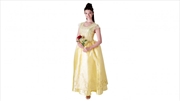 Belle Deluxe Adult Costume: Size L | Apparel