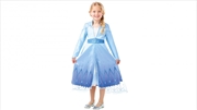 Elsa Frozen 2 Premium Costume - Small | Apparel