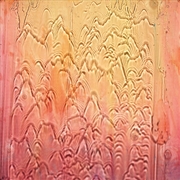 Buy Welcome To The Jungle