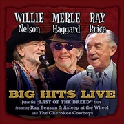 Buy Willie Merle & Ray: Big Hits Live From The Last