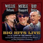 Buy Willie Merle & Ray: Big Hits Live From The Last