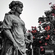 Buy Carved From Stone