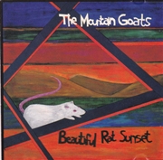 Buy Beautiful Rat Sunset