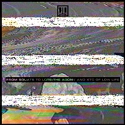 Buy From Squats To Lots: Agony And