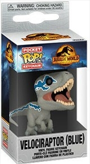 Buy Jurassic World 3: Dominion - Velociraptor Blue Pop! Keychain