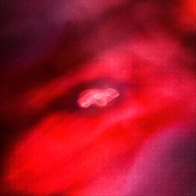 Faded Orbit | Vinyl