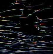 Buy Biokinetics: 2021 25th Ann Ed