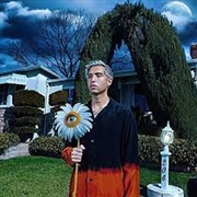 Buy Northend Sweetheart