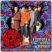 Everyone's Gonna Wonder- Complete Singles Plus | CD