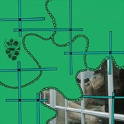 Buy To Make A Fool Askand You Are