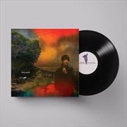 Buy We've Been Going About This All Wrong