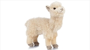 Buy Alpaca 25cm