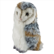 Buy Barn Owl Medium