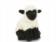 Buy Black Faced Lamb